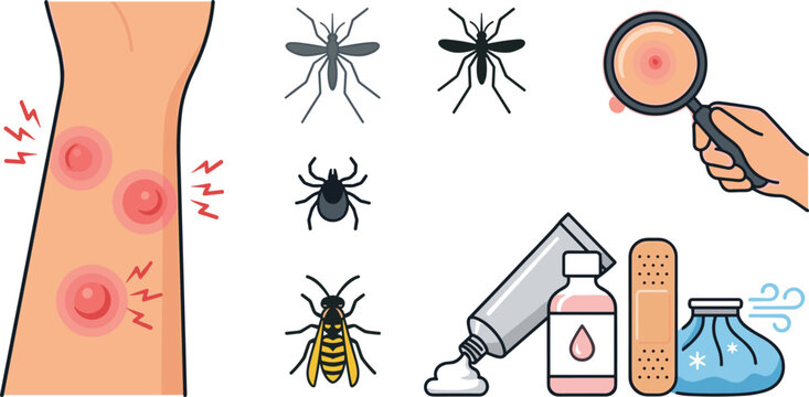 Insect Bite and Sting Relief Vector Icon Set Featuring Inflamed Skin Pests Mosquito Tick Wasp Treatment Ointment Cream and Medical First Aid Supplies