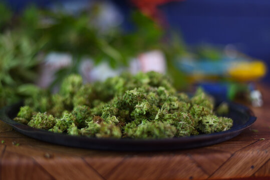 Marihuana on a Plate in Uruguay
