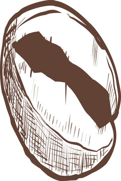 Hand-drawn coffee bean engraving line art with a bold brown center groove, organic outer contour, and dense crosshatch shading. Isolated transparent PNG illustration for coffee roastery branding, caf&eacute;