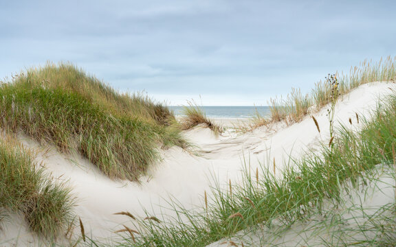D&uuml;nenlandschaft an der Nordseek&uuml;ste