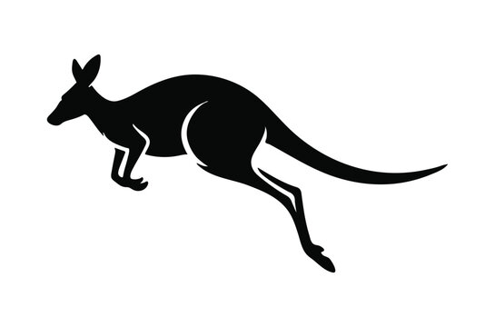 Leaping kangaroo silhouette against a white background a graphic representation