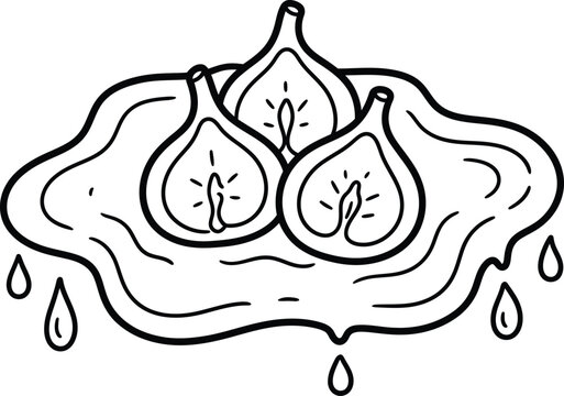 Minimalist fig fruit line art, fresh sliced figs vector, organic food icon