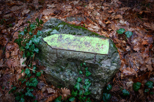 A weathered green arrow trail marker mounted on a mossy rock amidst fallen autumn forest leaves