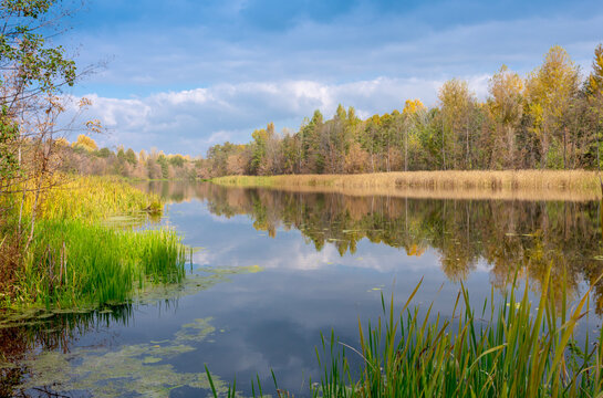 Serene autumn landscape featuring a calm river reflecting the golden trees and blue cloudy sky