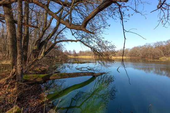 Serene autumn landscape featuring a calm river flowing through a quiet woodland forest area