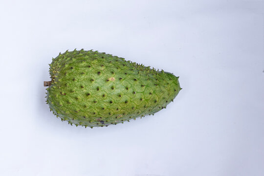 Soursop Annona muricata fruit isolated on white background. Prickly soursop guanabana fruit with stem isolated on white background