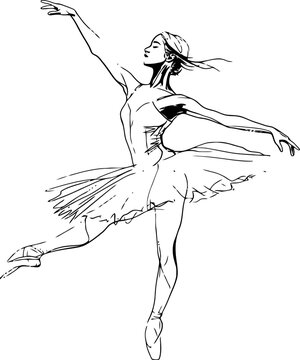 Hand-drawn ballerina vector illustration, elegant ballet dancer in tutu pose, artistic ink sketch of female performer, graceful dance movement