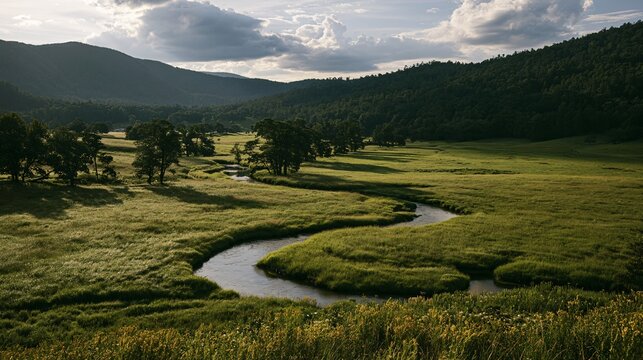 Wide establishing shot of a lush green valley with a winding river cutting through tall grass and