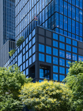 View of a business office tower's angled glass curtain wall corner in Manhattan, framed by green tree foliage in the foreground.