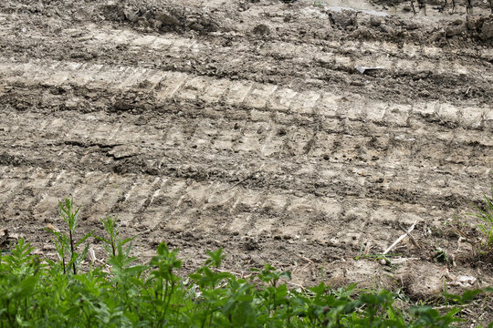 Parallel tire tracks traverse dry, compacted soil across sloped field