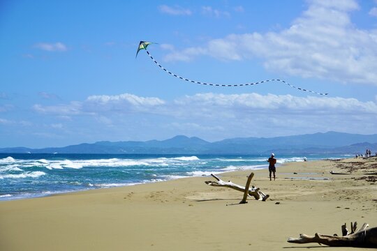 Unidentifiable man on beach flying a Kite