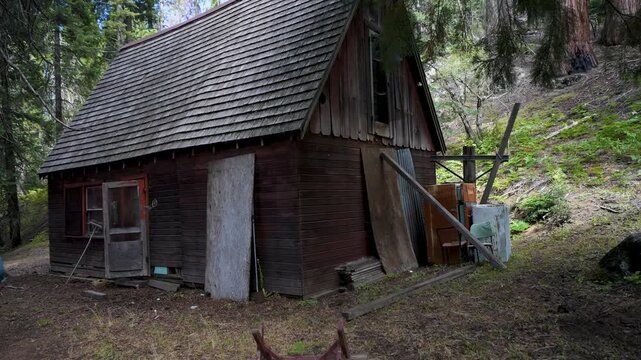 Cabin in the woods surrounded by giant Sequoia trees where John Muir spent time writing about nature and his experiences.