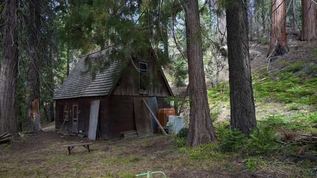A cabin in the woods where John Muir lived for a year, surrounded by giant sequoia trees while he wrote his journals.