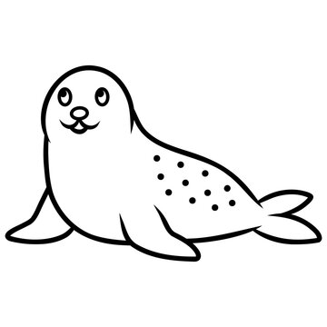 Seal animal marine coloring book for kids