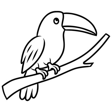 Toucan Perched on a Branch Illustration for kids coloring book