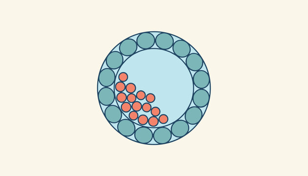 Scientific diagram showing blastocyst stage of embryonic development with inner cell mass and trophoblast cells.