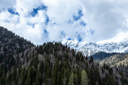 Snow Capped Mountain Range and Evergreen Forest Under Dramatic Clouds