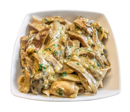 Creamy mushroom pasta served in a white bowl with penne, fresh parsley and rich sauce, showcasing comfort food textures and savory flavors ideal for restaurant menus, food blogs, and recipe content.