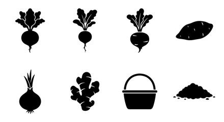 Obraz premium Root Vegetable Icons: Beetroot, Sweet Potato, Onion, Ginger, Basket, Soil, Garden Harvest Collection