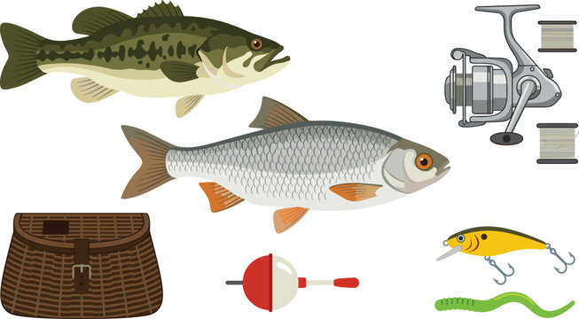 Freshwater fishing gear illustration collection with realistic cartoon fish spinning reel tackle box items isolated on white background