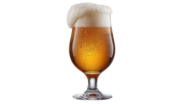 Amber lager beer with frothy head in tulip glass, isolated on transparent background