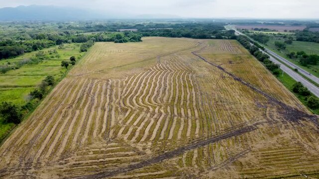Aerial view drone to Prepare a Field for Planting clouddy day grass and forest area, Tolima, Colombia 4k