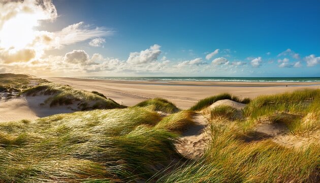 beautiful wide panorama views of the endless grass beach sand dunes on the danish coast with warm spring summer sunlight nationalpark thy in north jutland in denmark on the danish noth sea coast