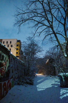 Espace de jardin partag&eacute; &agrave; Montreuil en hiver
