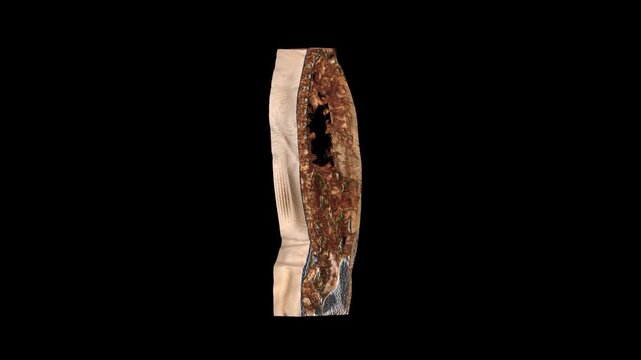 Sagittal View 3D CT Scan Rendering of Torso and Spine Anatomy
