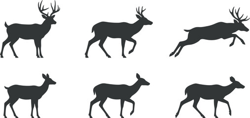 Fototapeta premium Deer and doe silhouette shapes vector illustration set featuring buck stags walking running jumping isolated on white background.