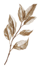 Obraz premium PNG Delicate sepia leaf illustration