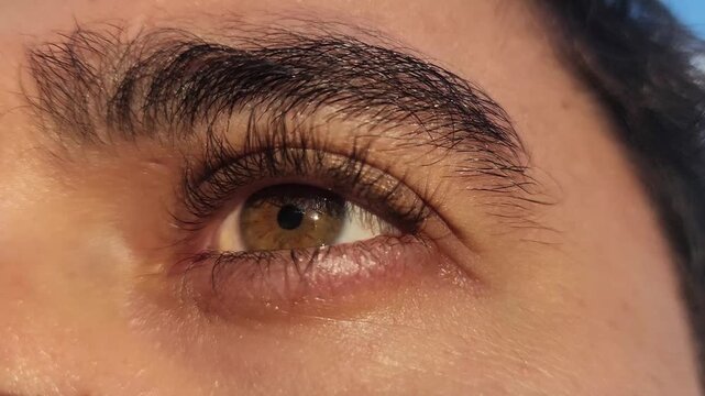 Close up of a human eye with brown iris and dark eyelashes and eyebrows