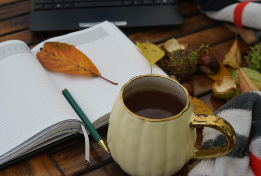 Autumn journaling and coffee concept with open notebook