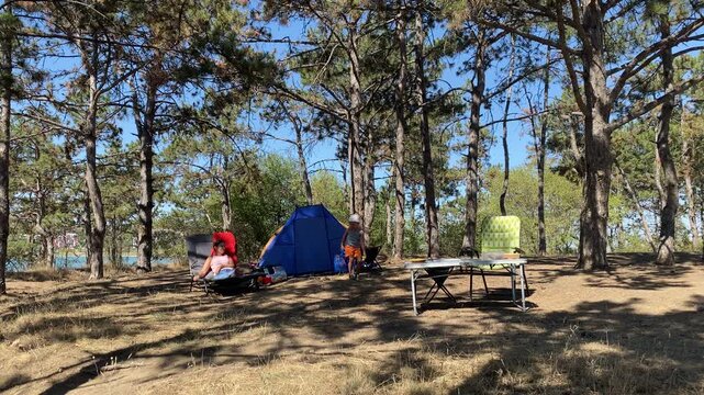 A mother relaxes on a lounger while her young son walks near their blue tent. They enjoy a peaceful family campsite in a sunny pine forest near the water. The bright outdoor atmosphere feels calm and 