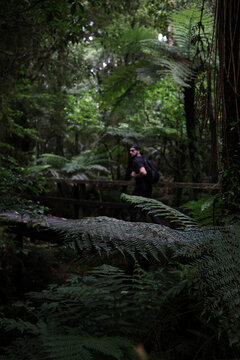 man in the forest