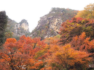 覚円峰と紅葉 昇仙峡のシンボルの奇岩 © GritAI
