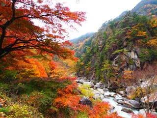 紅葉と岩壁の間を流れる荒川 昇仙峡の渓谷美 © GritAI