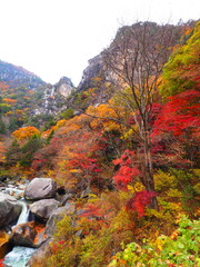 赤いもみじと岩峰を望む渓流 昇仙峡 縦構図 © GritAI