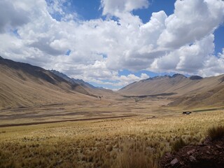 Fototapeta premium Wild yellow grass near mountains with a cloudy sky in the background, treeless landscape, Canas, Cusco, Peru.