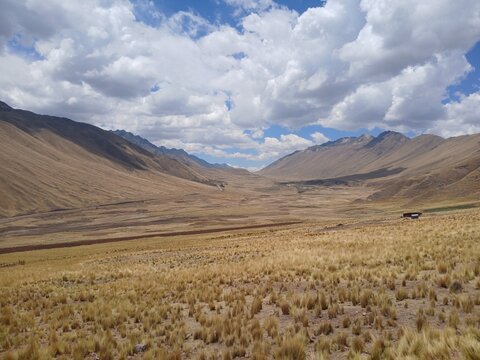Wild yellow grass near mountains with a cloudy sky in the background, treeless landscape, Canas, Cusco, Peru.