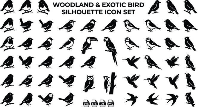 Woodland and exotic bird silhouette icon set collection for wildlife vector designs