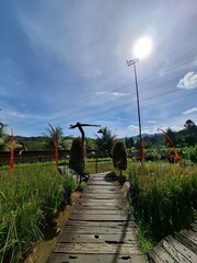 Fototapeta premium wooden bridge in the park