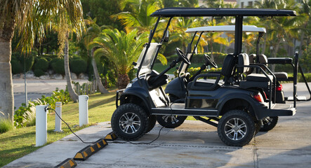 Black electric golf cart charging beside tropical landscaped driveway © Alla