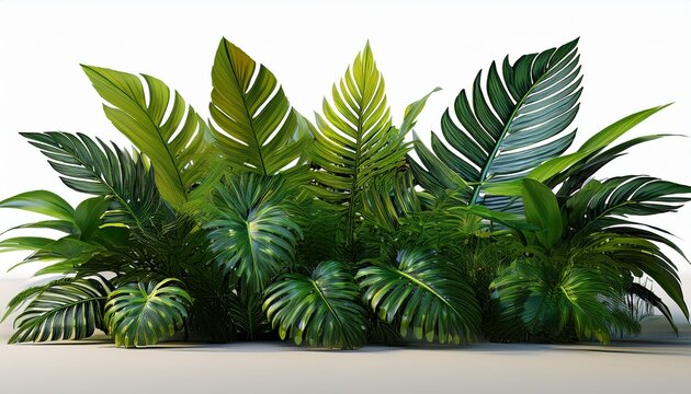 cutout tropics green leaves foreground on white backgrounds 3d rendering