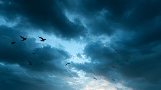 Flock of birds soaring through dark, dramatic storm clouds in a moody blue sky