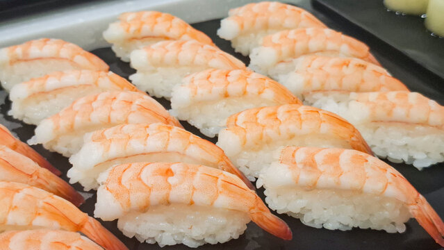 Fresh cooked shrimp ebi nigiri sushi arrangement on buffet tray in Japanese restaurant

