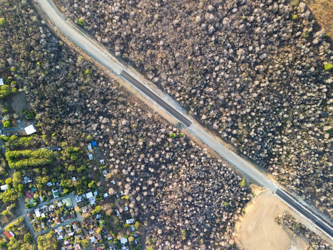 Empty road in rural forest
