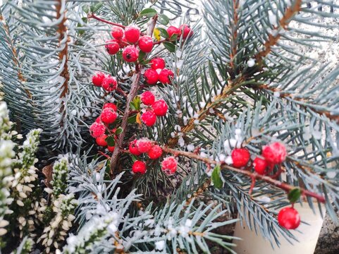 Grabschmuck bei Schnee und Eis auf dem Friedhof 