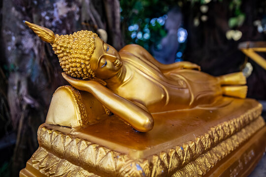 A gilded statue of a reclining Buddha with his head resting on his hand and a carved pedestal