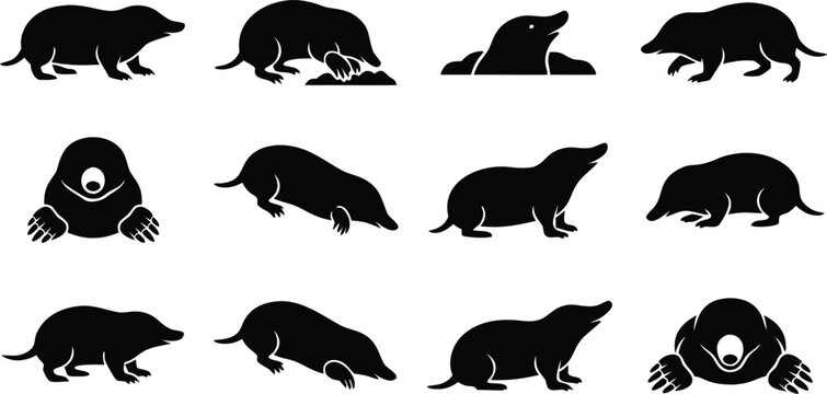 Black mole set silhouettes digging burrowing and standing poses